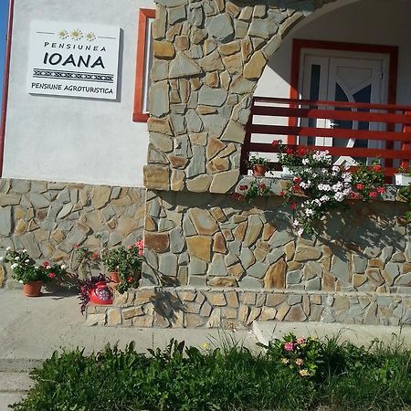 Pensiunea Agroturistica Ioana Bradulet Exteriér fotografie