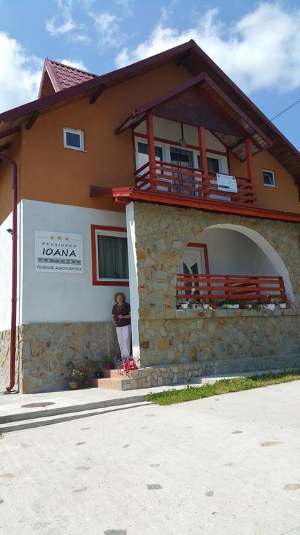 Pensiunea Agroturistica Ioana Bradulet Exteriér fotografie